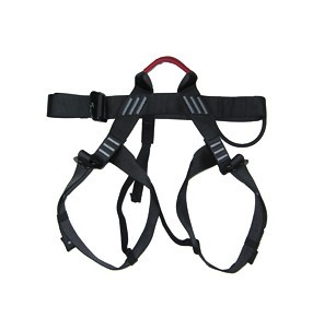 ������ȫ��